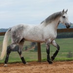 Ícarus Interagro/Photo: TUPA