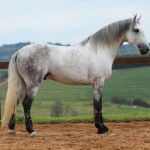 Ícarus Interagro/Photo: TUPA