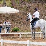 Ícarus Interagro/Interagro Lusitanos