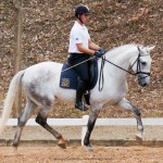 Ícarus Interagro/Interagro Lusitanos