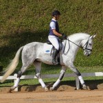 Ícarus Interagro/TUPA