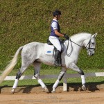 Ícarus Interagro/TUPA