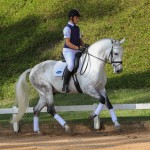 Ícarus Interagro/TUPA