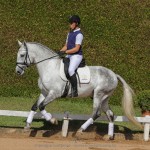 Ícarus Interagro/TUPA