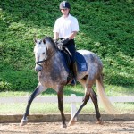 Indus Interagro/Interagro Lusitanos