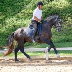 Jackpot Interagro/Interagro Lusitanos