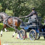 Hospedeiro Interagro/Interagro Lusitanos