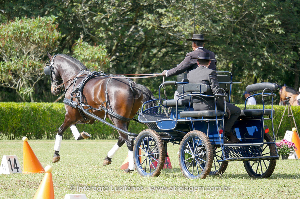 Hospedeiro Interagro/Interagro Lusitanos