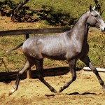 Adido Interagro/TUPA