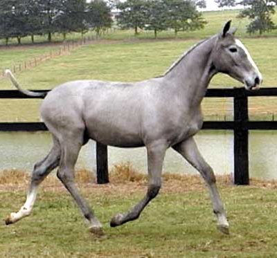 Lot 01a - Xuvisco Interagro