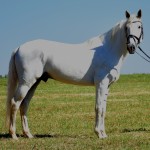 Debitor Interagro/Martina Brandes