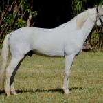 Debitor Interagro/Martina Brandes