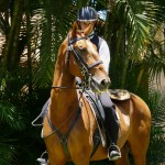 Jellicoe Interagro/Interagro Lusitanos
