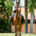 Jellicoe Interagro/Interagro Lusitanos