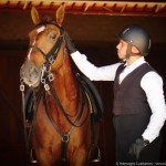 Jellicoe Interagro/Interagro Lusitanos