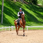 Jellicoe Interagro/Interagro Lusitanos