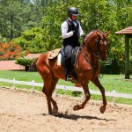 Jellicoe Interagro/Interagro Lusitanos