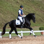 Ladino Interagro/TUPA