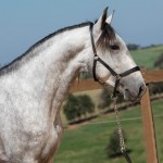 Linus Interagro/TUPA