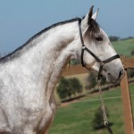 Linus Interagro/TUPA