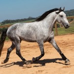 Linus Interagro/TUPA