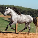 Linus Interagro/TUPA