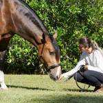 Labrego Interagro/Interagro Lusitanos