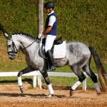 Linus Interagro/Interagro Lusitanos