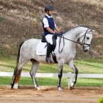 Locrus Interagro at 2nd phase of Interagro Dressage Ranking 2018