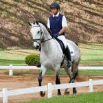 Locrus Interagro at 2nd phase of Interagro Dressage Ranking 2018