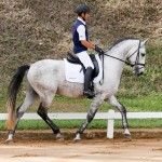 Locrus Interagro at 2nd phase of Interagro Dressage Ranking 2018