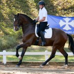 Alexandre Souza & Hectar Interagro