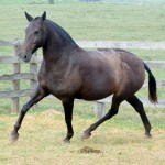 Imagem Interagro/Martina Brandes