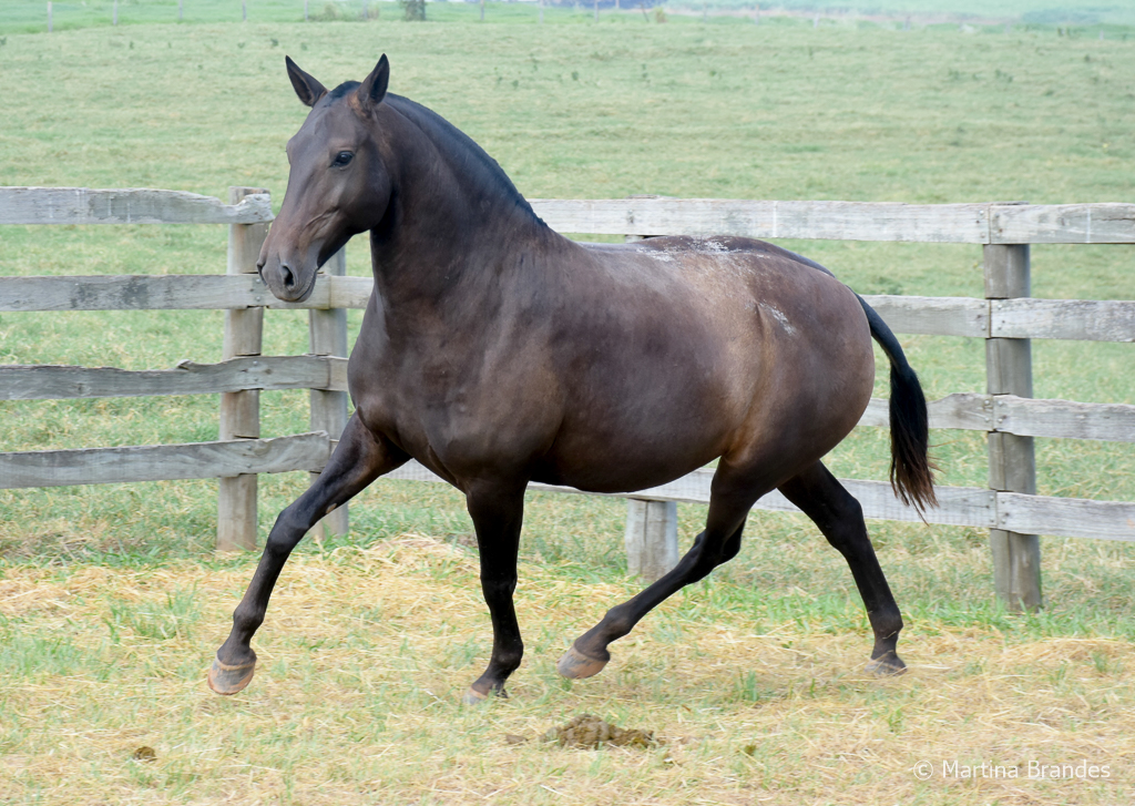 Imagem Interagro/Martina Brandes