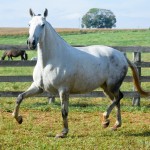 Inquieta Interagro/Martina Brandes