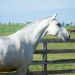 Inquieta Interagro/Martina Brandes