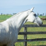 Inquieta Interagro/Martina Brandes