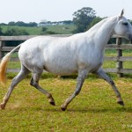 Issa Interagro/Martina Brandes