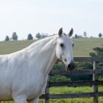 Issa Interagro/Martina Brandes