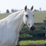 Issa Interagro/Martina Brandes