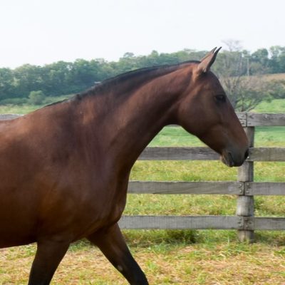 Itapira Interagro/Martina Brandes