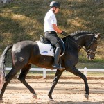 Alexandre Souza & Ladino Interagro