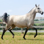 Leiga Interagro/Martina Brandes