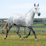 Lesbos Interagro/Martina Brandes