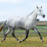 Lesbos Interagro/Martina Brandes