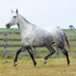 Lesbos Interagro/Martina Brandes