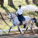 Leucon Interagro & Alexandre Souza, 1st place Young Horses 4 yo at the 2nd phase of 2019 Interagro Dressage Ranking/Interagro Lusitanos