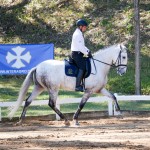 Leucon Interagro & Alexandre Souza, 1st place Young Horses 4 yo at the 2nd phase of 2019 Interagro Dressage Ranking/Interagro Lusitanos