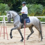 Leucon Interagro/Martina Brandes