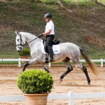 Leucon Interagro at 2nd phase of Interagro Dressage Ranking 2018